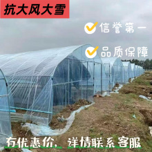 ���|��\䓹ܷNֲ�Ǽ��Bֳˮ�a�ﻨ���߲����u���Z�����Ǽ�ȫ��