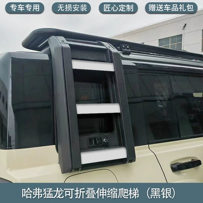 appearance kit tent, Roof rack - haver-raptors-ladder-black-silver-magnet-hidden-lossless-installation