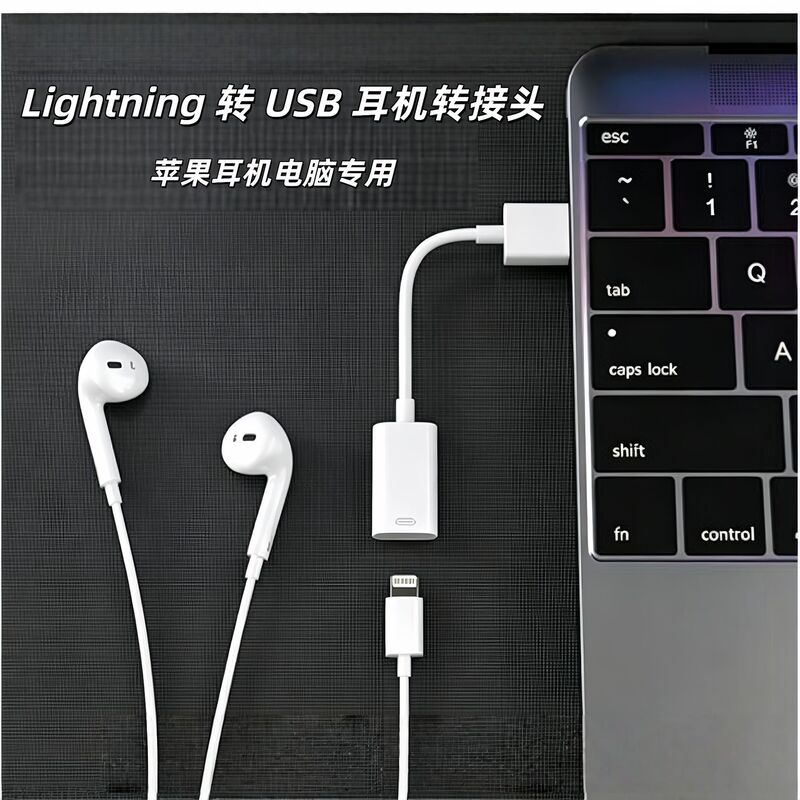 Usb+ Male to Lightning Female Audio Adapter Cable, Type A+ to Lightning Audio Converter Typec Adapter