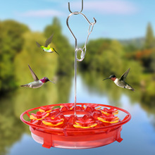 Hummingbird Feeder ҒʽtɫhBιʳ@ˇ@ιB