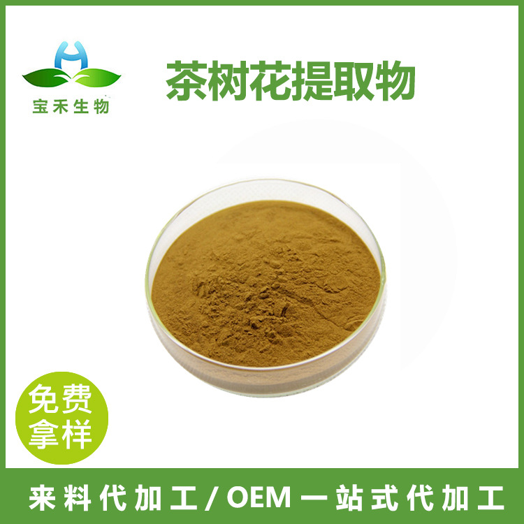 茶树花提取物 10:1 茶树花浓缩粉 茶树花浸膏粉 茶树花粉 1kg起订