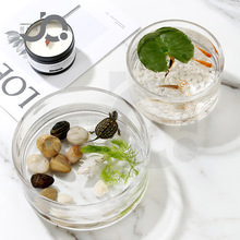 现代简约直筒玻璃花瓶水培透明圆形鱼缸睡莲莲花金鱼水仙铜钱草