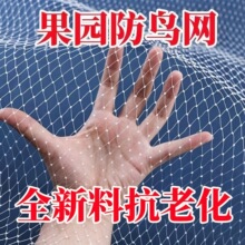 大棚果树果园樱桃葡萄梨树草莓尼龙防鸟网阳台防护网鱼塘泥鳅天网