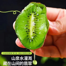 正宗徐香猕猴桃24颗当季水果新鲜猕猴桃奇异果陕西周至绿心猕猴桃