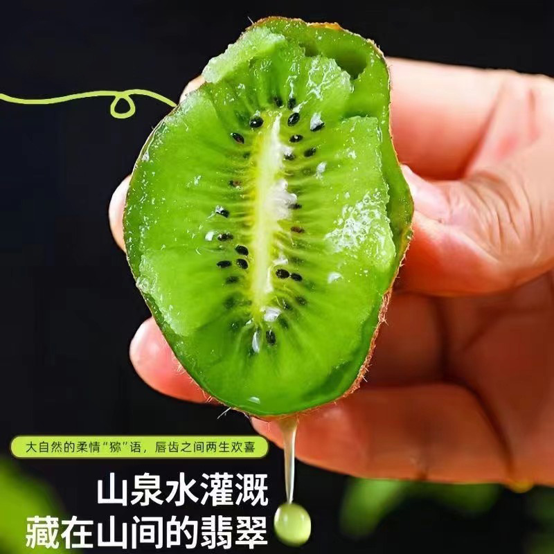 微信图片_20240817081317