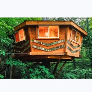 Scenic Wooden House Design Hexagonal Shape Popular B&B Accommodation Wooden House