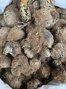 ��ș�ľ��� һ��ץ �ϻ�צ �L���� ����ă�