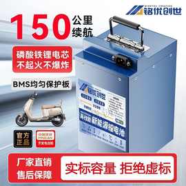 全新60v锂电池磷酸铁锂外卖快递国标两轮电动车48伏电瓶源头工厂