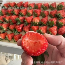 ݮdb/ݮbd/ݮкd/ݮĭ/ݮd|