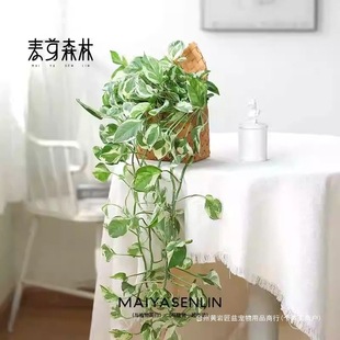 ׽~G}ѩٴ̨҃ˮB׻ֲm