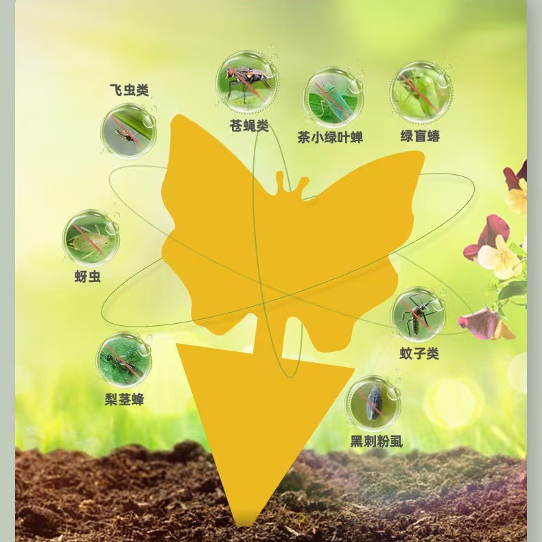 Amazon extraforme placa de insecto pegajoso placa amarilla doble cara placa atrapada de insecto pegajoso trampa de mosca de la fruta amarilla trampa de mosca de la fruta transfronteriza