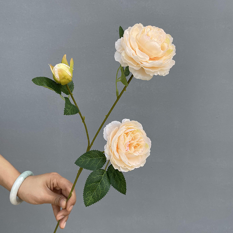 3 Foreign peonies-Champagne