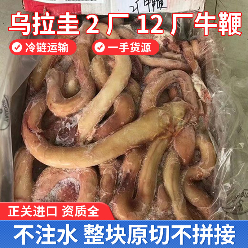 乌拉圭2厂12厂牛鞭 冷冻批发整箱 火锅食材批发 冷冻牛杂食品