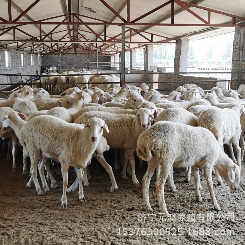 A534B6D749ED2E273501FCE7710C7E