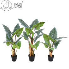 ؈ʺ辰Ӻ~Ƭ^͏db;Gֲ[