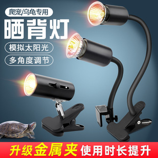 Turtle Climbing Pet Sun Backlight Heating Heat Insulation Sun Lamp Turtle Bulb Pet Turtle Constant Temperature Lamp Holder