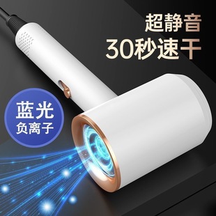 Silent Hair Dryer Internet Celebrity Hammer Hair Dryer Popular Cross-Border Quick-Drying High-Power Hair Care Blue Light Constant Temperature Hair Dryer