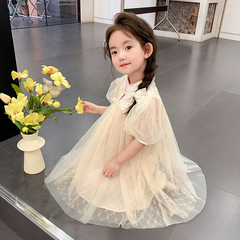 女童國風連衣裙夏季2024新款兒童新中式公主裙子洋氣寶寶夏裝紗裙