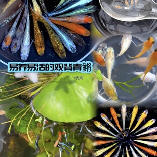 �^�����F��������ˮ��ˮ�^�p�~ԭ���~С����ˮ�ͻ�Ⱥ���~���挙��