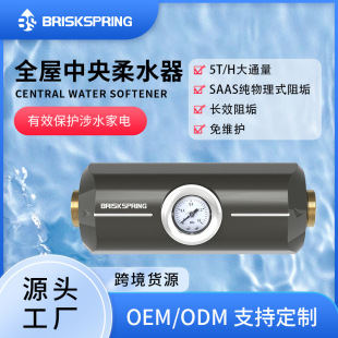 Whole house central water softener household salt-free floor heating water heater scale removal scale removal filter water purifier cross-border