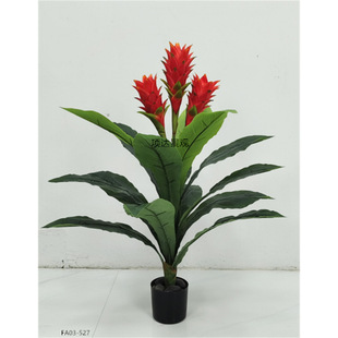 P滨P˽\^͏db[ؼٻ辰