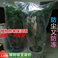 绿植物防冻保温袋塑料膜花卉盆栽过冬保护罩树木防寒布防尘袋透明