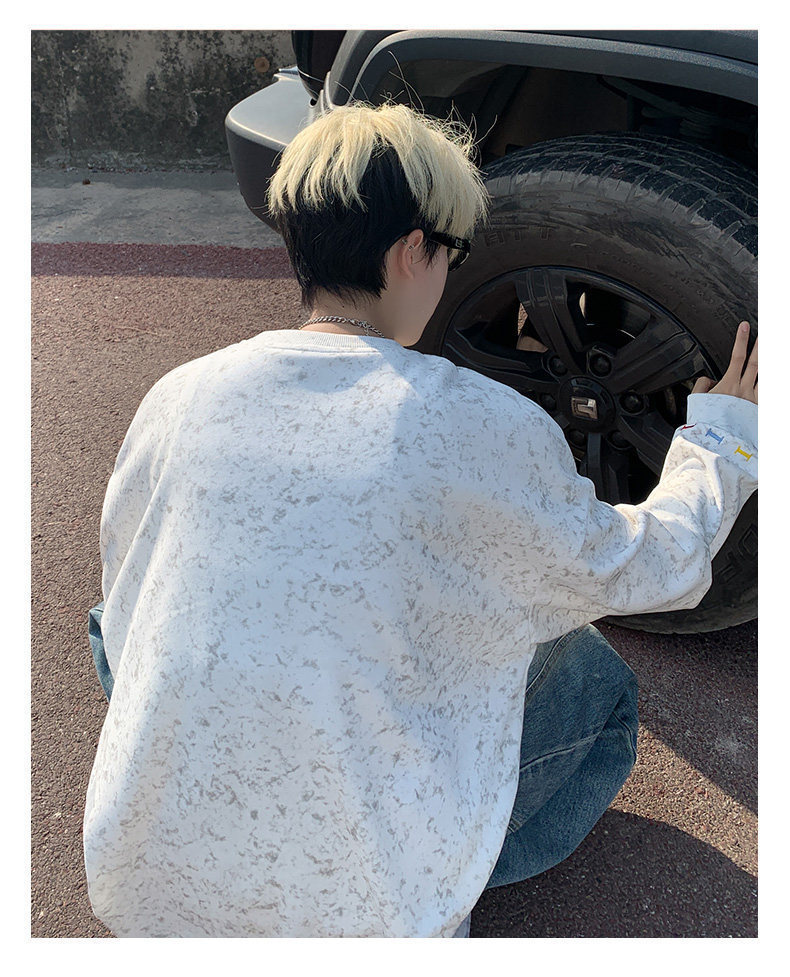 Embroidered Crew Neck Long Sleeve Pullover For Men Casual Top_voghion.com