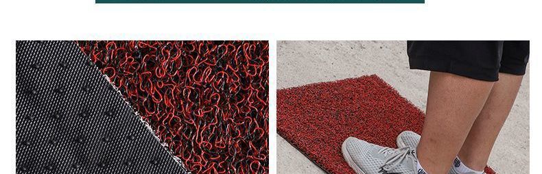 Entrance Door Mat, Silk Loop Anti-Slip Entry Mat, Bathroom Mat, Living Room Door Mat, Car Door Mat