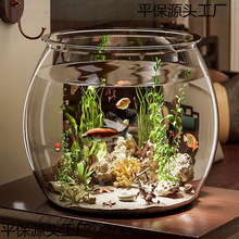 鱼缸小型家用塑料仿玻璃耐摔客厅办公室金鱼绿植观赏微景观生态缸