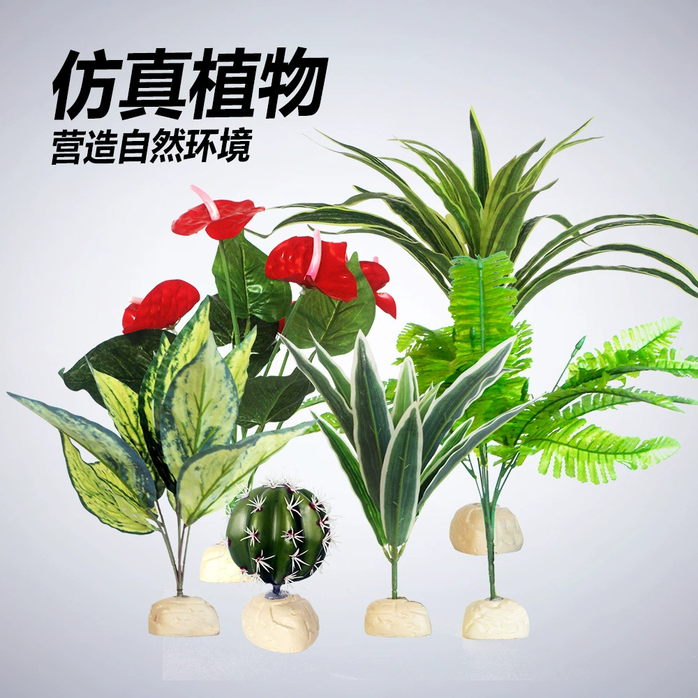 Номо декоративные растения Многие стили растительный пейзаж тропический лес пустыня восхождение Домашнее Животное Черепаха коробка черепаха