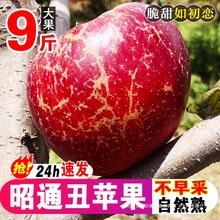 �����ͨ�г��O��ˮ�����r���䮔��10�︻ʿ�����O���t¶�Bͨ���]