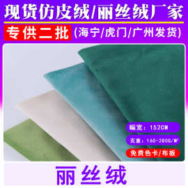 现货荷兰绒玩具绒布丽丝绒面料批发天鹅绒沙发抱枕服装布料