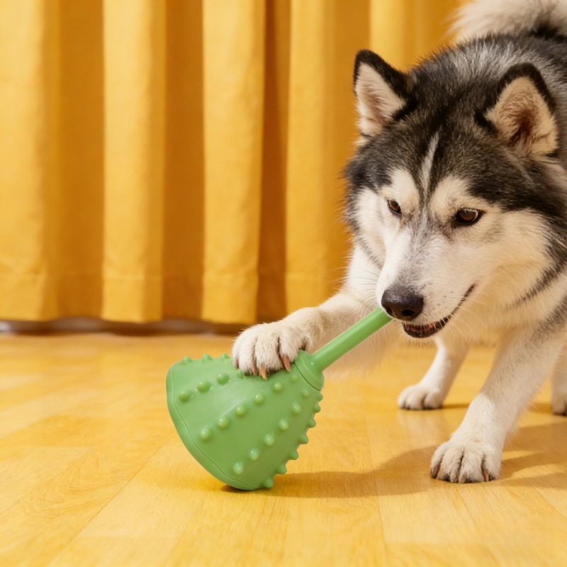 Juguete Dispensador de Comida para Perros de TPR