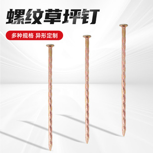 Factory wholesale threaded lawn nail spiral nail twist nail floor nail color zinc thread nail keel nail woodworking nail