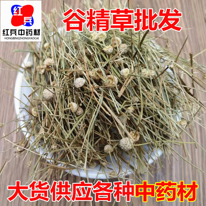 Dried Eriocaulon Buergerianum Gu Jing Cao Whole Herb TCM Decoction Herb for Traditional Herbal Tea and Decoctions overview