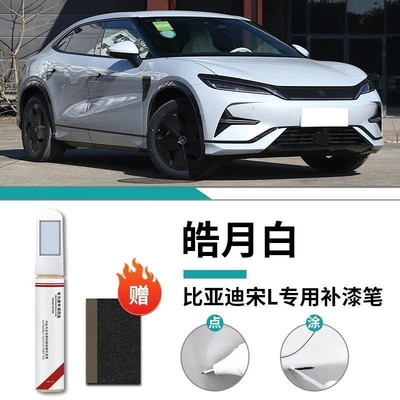 Byd Song L Touch-Up Pen: Car wax - basic-package-touch-up-pen-free-sandpaper-exclusively-for-song-l-haoyuebai