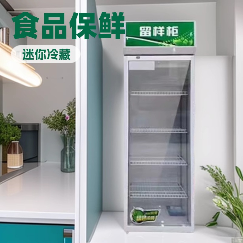 食品留样柜学校食堂幼儿园饭菜留样冰箱冷藏柜水果蔬菜保鲜展示柜