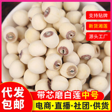 湘莲白莲子带芯磨白莲磨皮湘潭寸三莲500g产地批发散装莲香