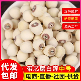 莲子;莲子类;其他药食同源