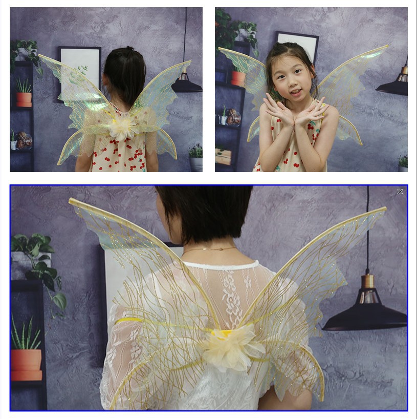 带仙气翅膀 (6).jpg