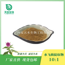 西安天本  厂家 量大从优 水飞蓟提取物10：1水飞蓟药材 喷雾干燥