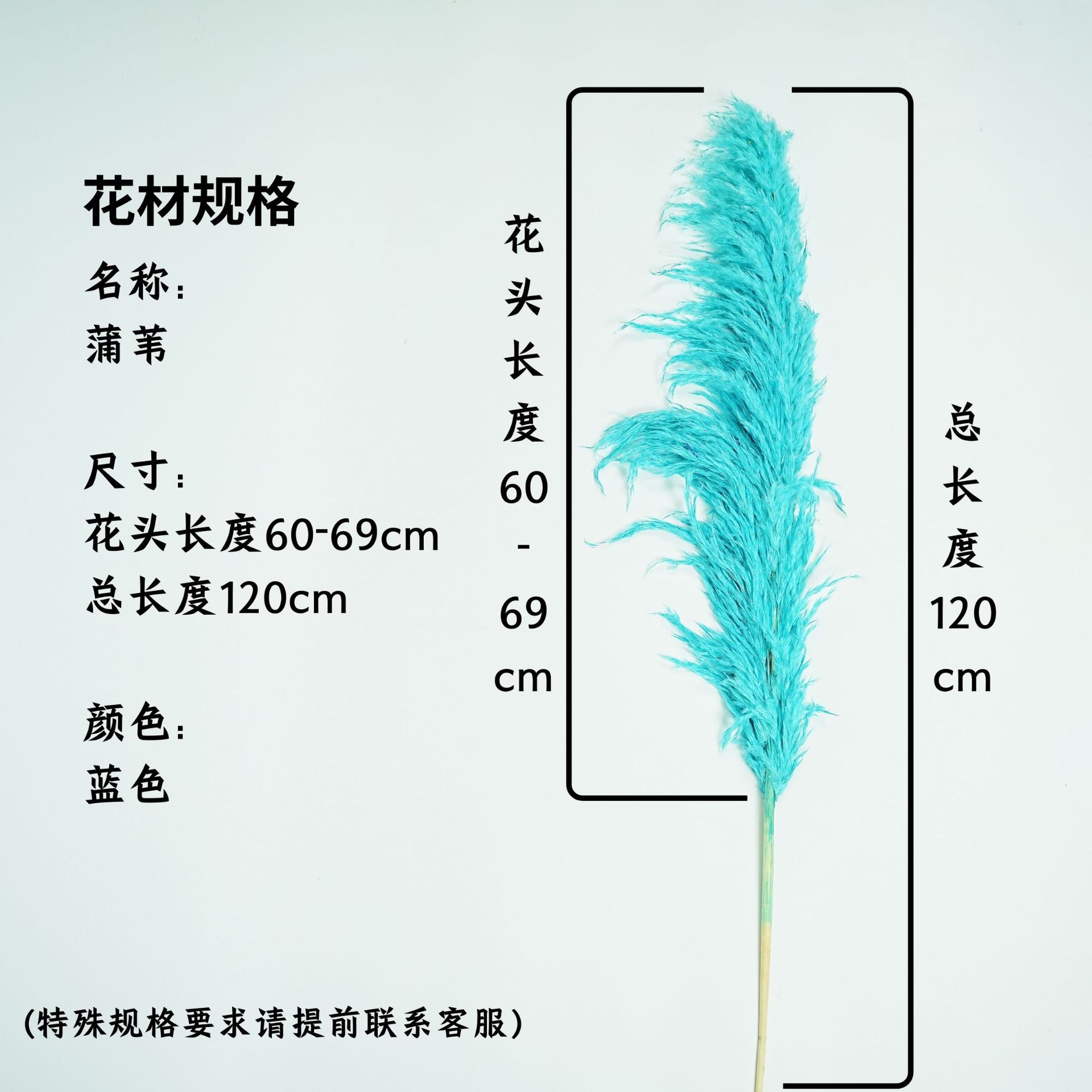 꽃머리 60~69cm 블루