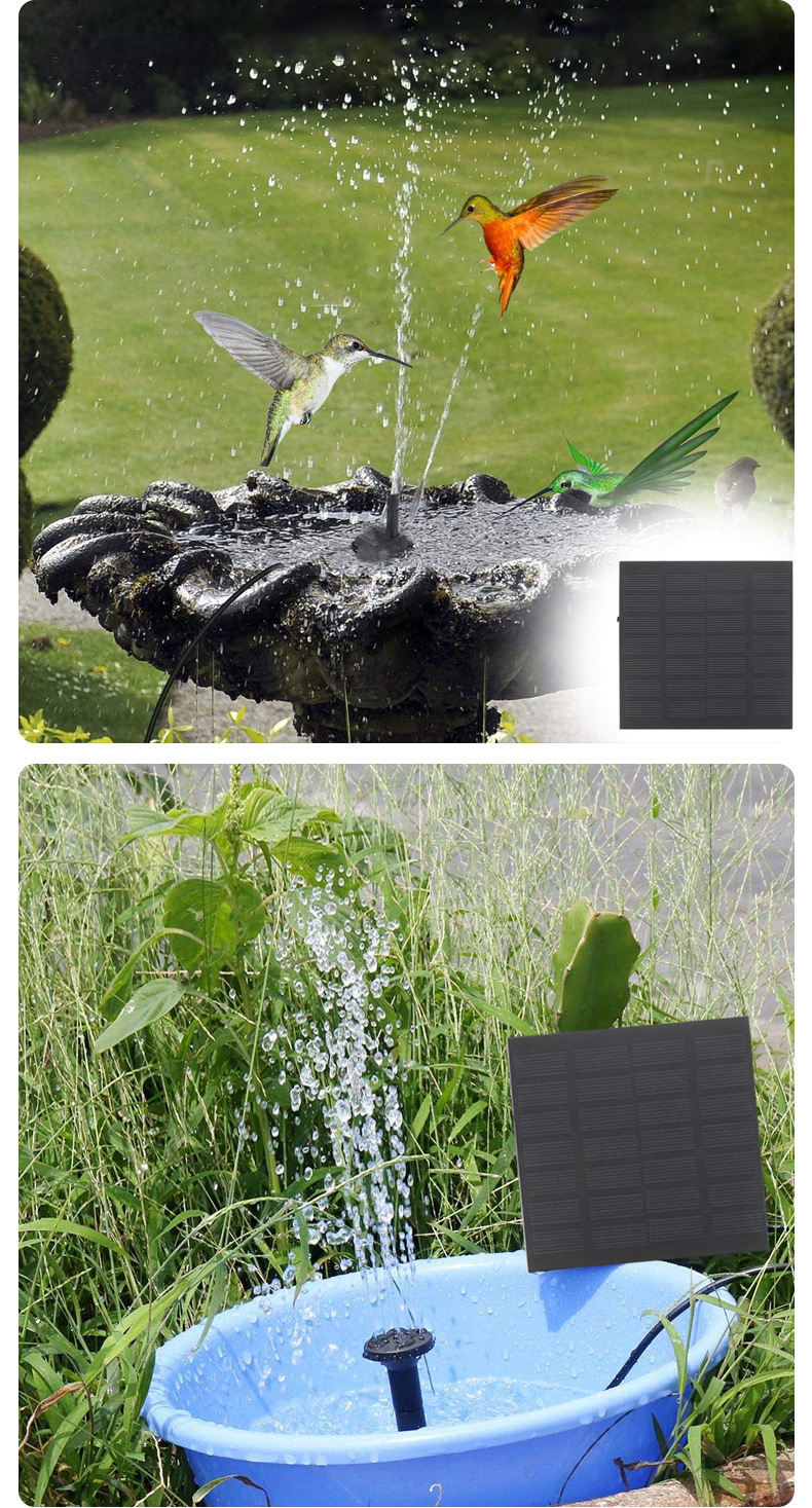 11483886184_2108233634