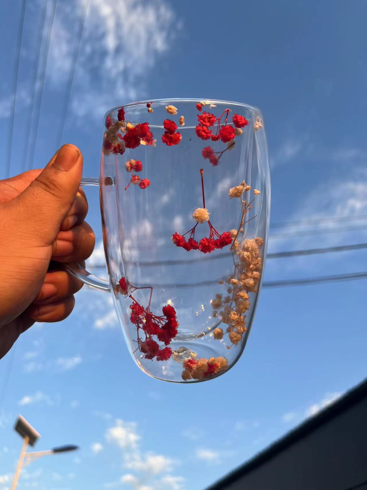 1cc41cc9-9ef3-4155-ae2d-07f85f