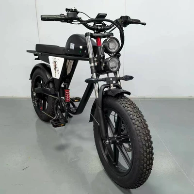 Elektrikli motosikletlər Electric Bicycle Adult Electric