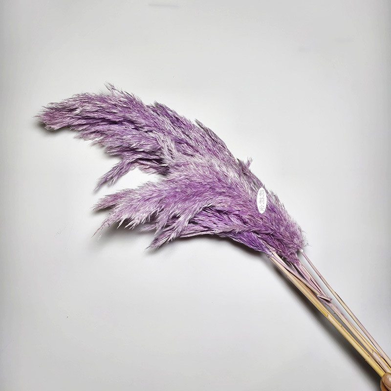 라이트 퍼플(5개/번들)