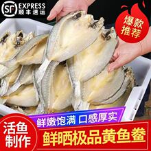 �S�~��΢���~�ɛ���������S�~�S���~���r��؛�S���~