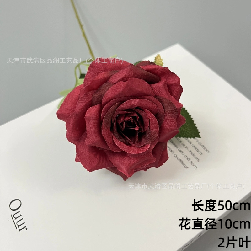 싱글 다이아몬드 로즈 - 와인 레드