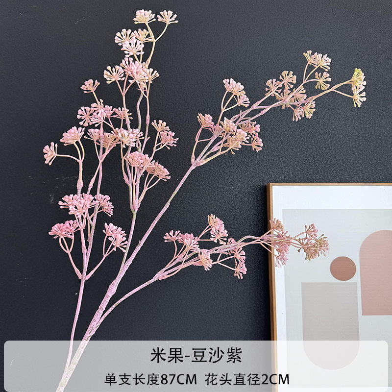 콩 페이스트 보라색
