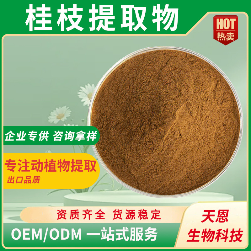 桂枝提取物10:1 水溶性桂枝粉 柳桂/肉桂枝浓缩 现货批发质量保证